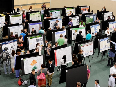 Expo highlights undergraduate scholarship