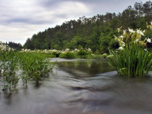 UAB students, professor win $47,000 design grant for Cahaba River project