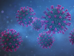 The higher infectivity correlates with mutations that increase viral binding to a cell surface glucosaminoglycan, heparan sulfate.