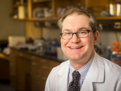 UAB receives grant to study promising treatment for chronic lymphocytic leukemia