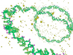 Distinct structural domains in MUNC long non-coding RNA regulate gene expression