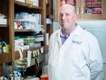 Alexander receives R01 grant to study Duchenne muscular dystrophy signaling pathway