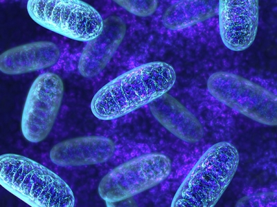 Nuclear transfer of mitochondrial DNA in colon and rectal cancer