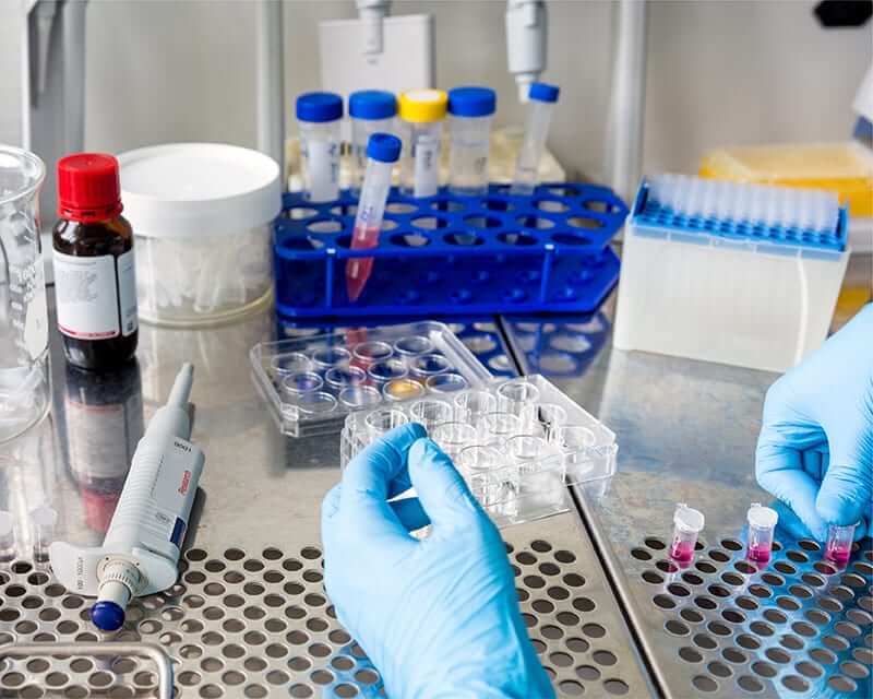Blue gloved hands working with samples in a research lab. 