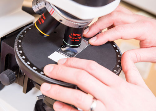 Close up view of a microscope and slide.