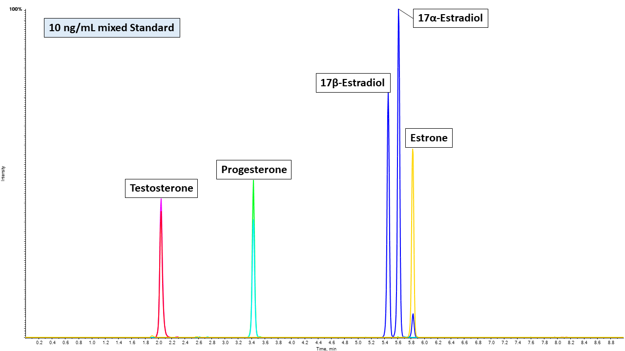 estrogen/testosterone