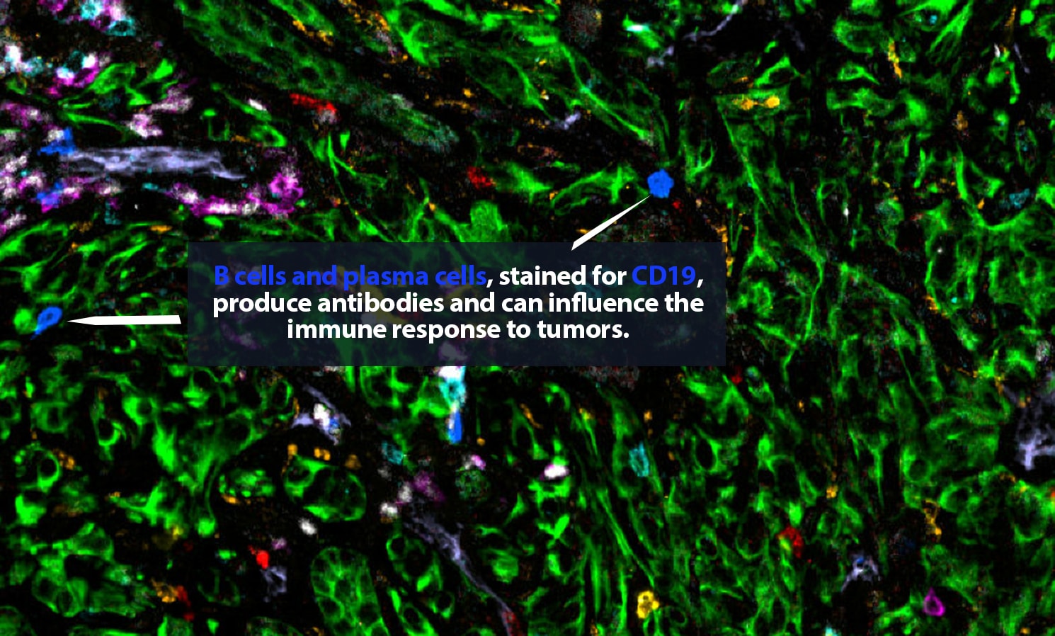 7 alt blue immune 1490x898px