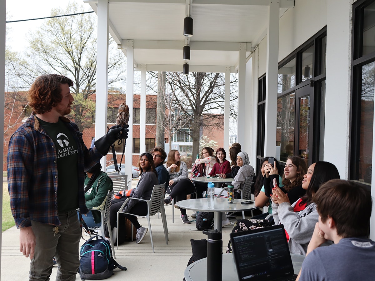 rep pj into the wild 1200px