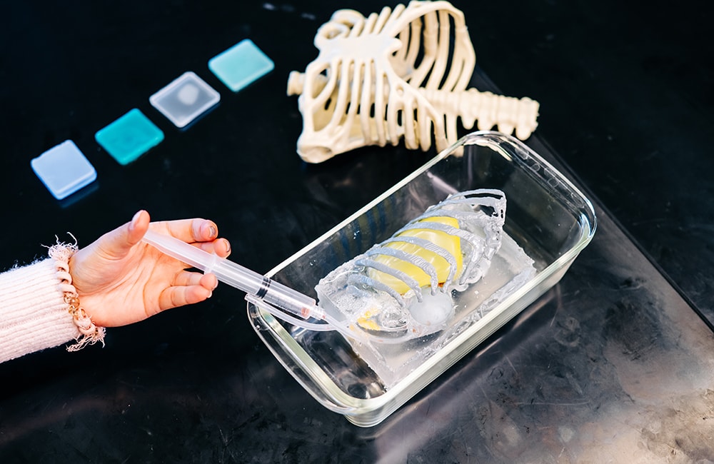 Allie Reinhart holds a syringe connected to an fluid-filled model of the heart inside a 3D-printed rib cage.