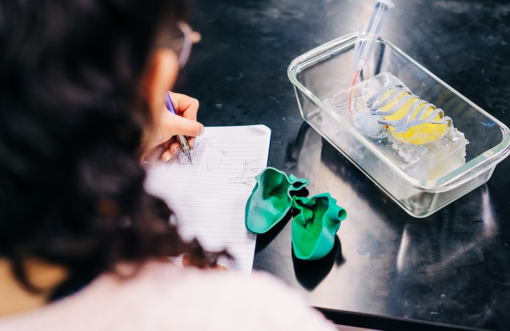Allie Reinhart writes in her notebook, with the fluid-filled heart and rib cage in front and a smaller, open model of a heart next to her