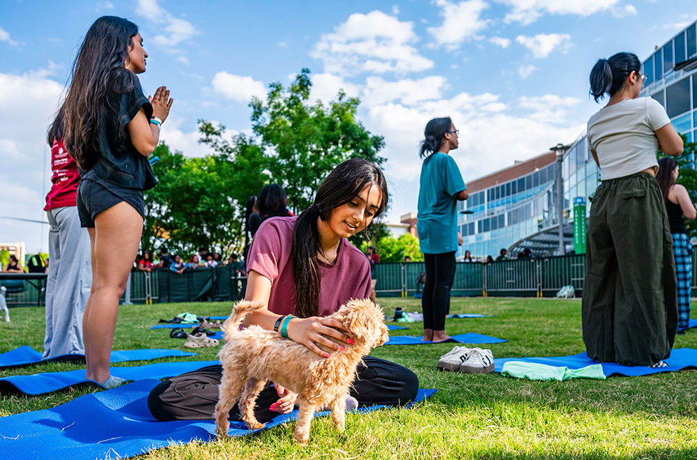 A student sits and pets a small brown dog on the grass outside the Hill Student Center while other students stand behind her
