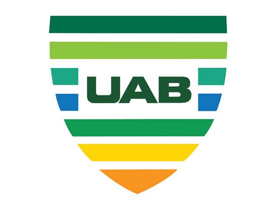 Logo for the UAB VIP award