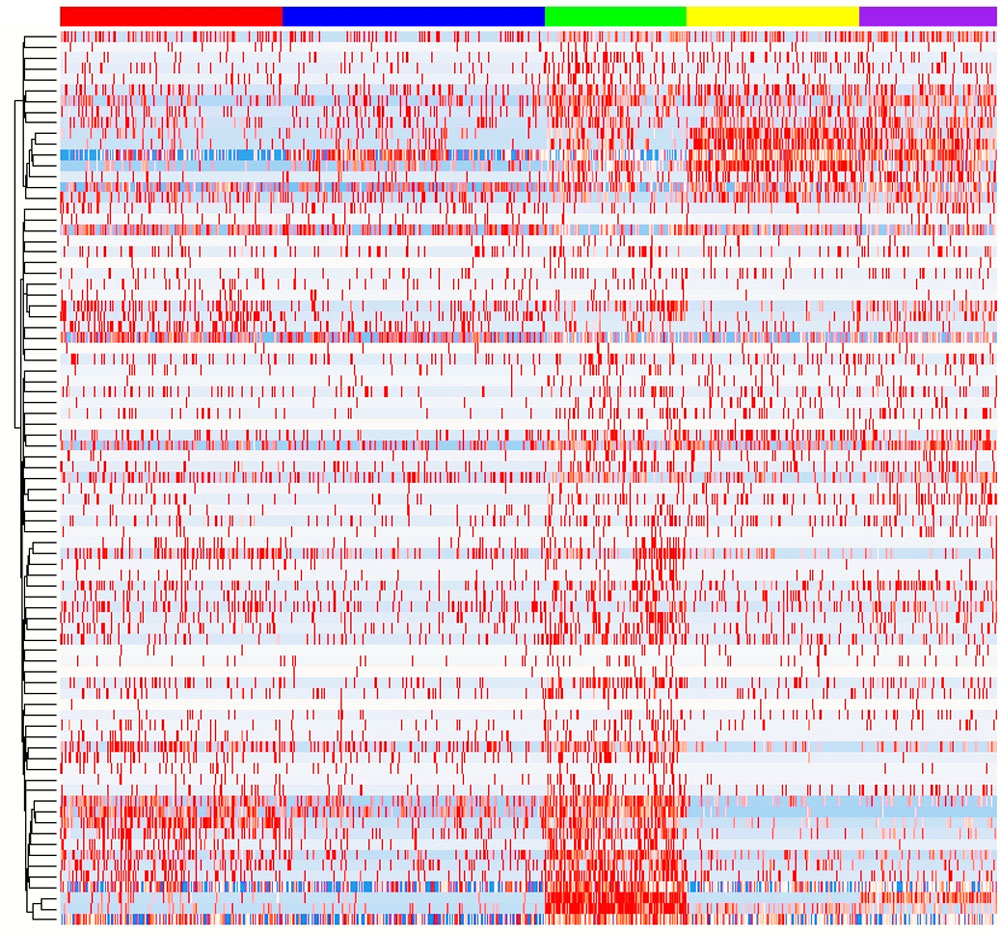 rep dod hsu heatmap genes health sle 1000px