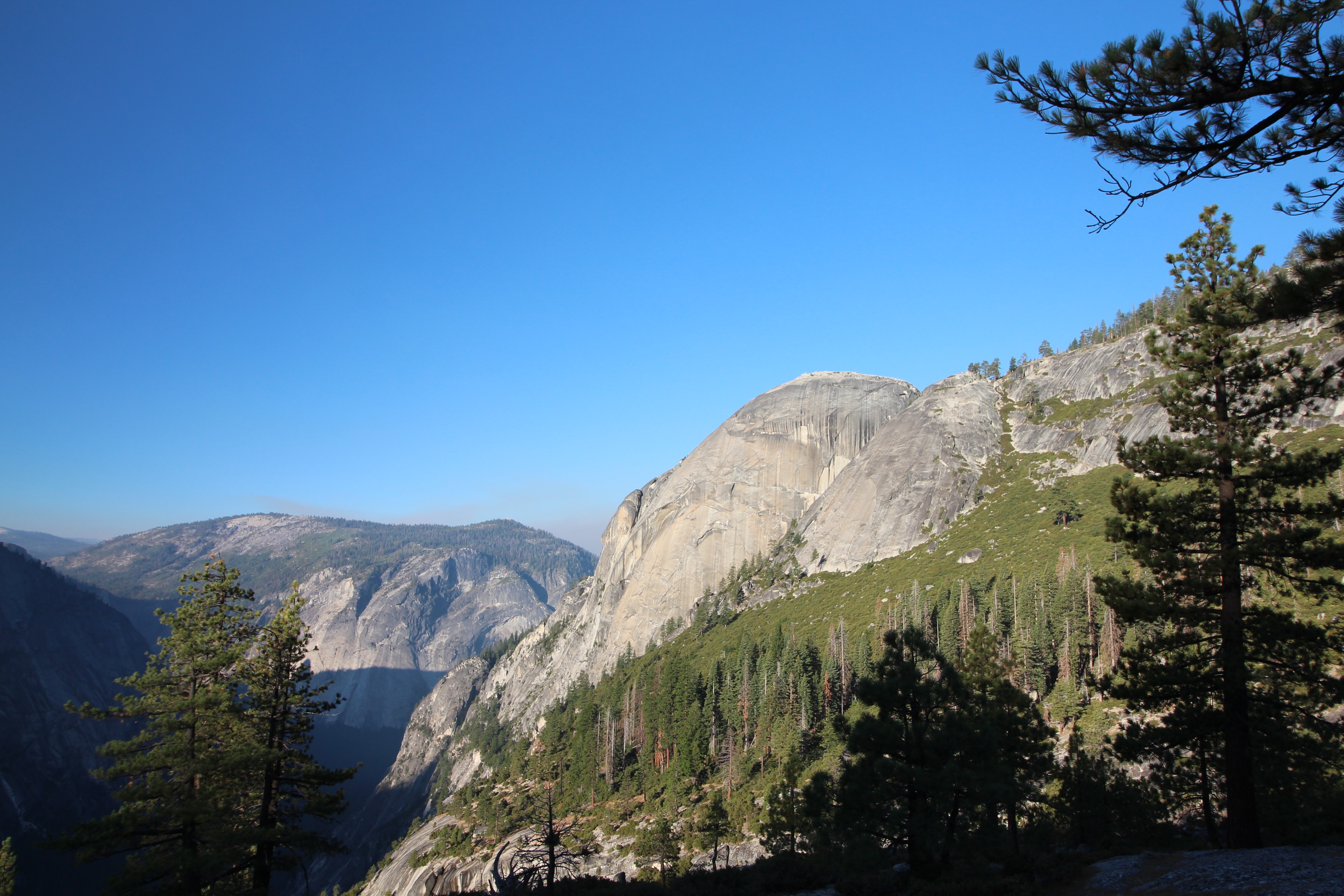 06Sun Rise Over The Yosemite Valley   Ponderosa Pines Pinus Ponderosa