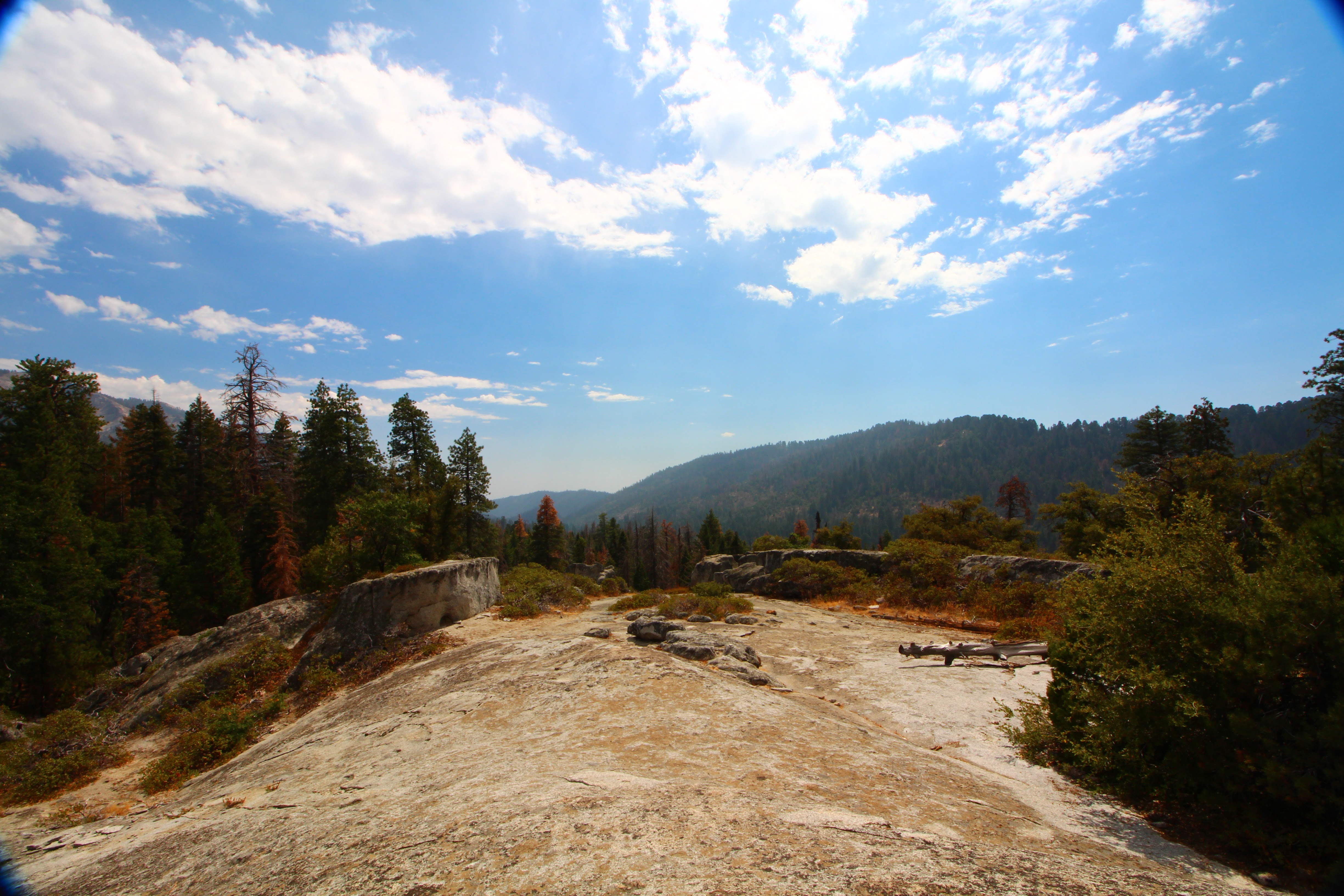 17Redwood Canyon In Kings Canyon National Park