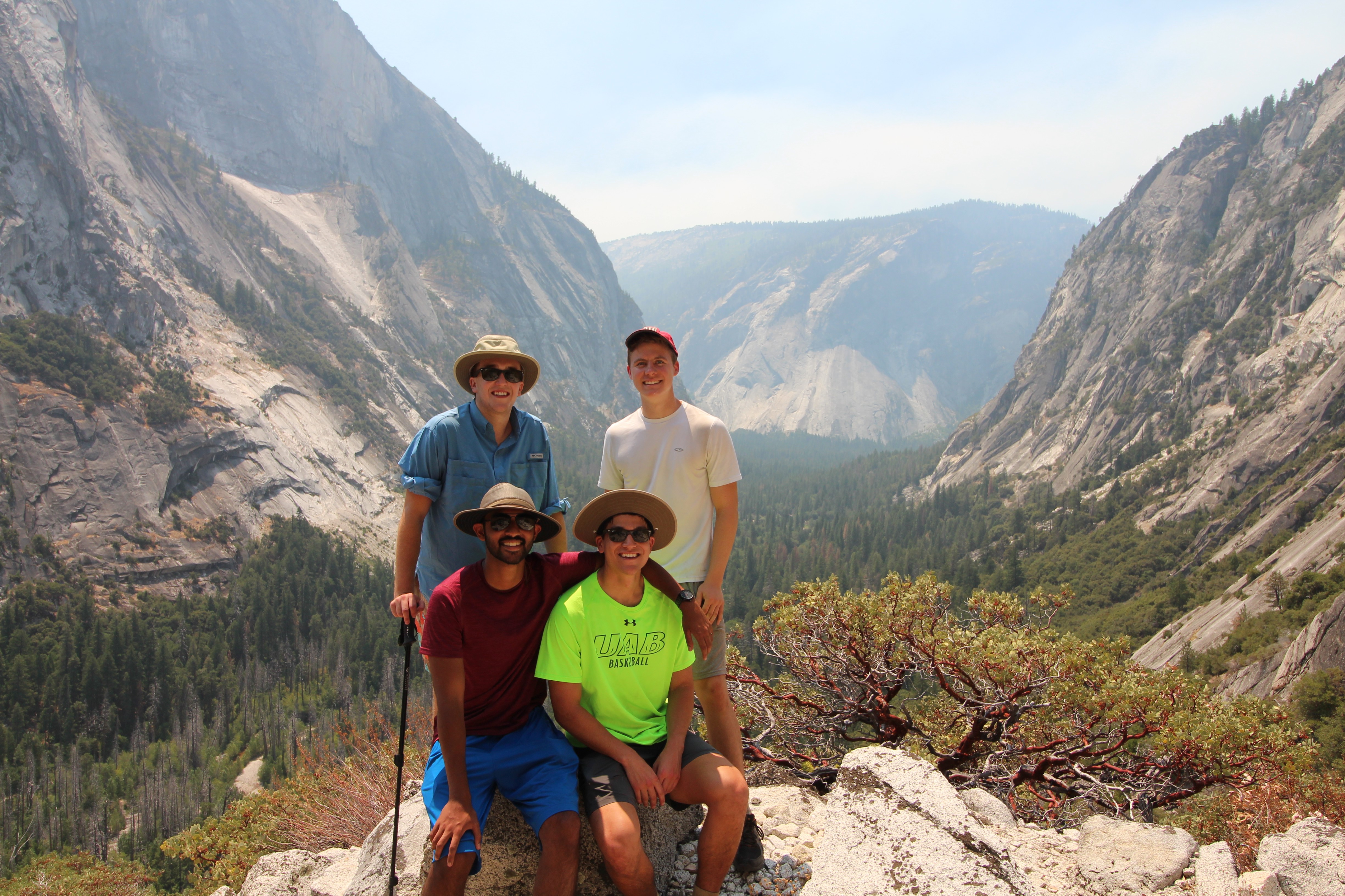 Overlooking Yosemite Valley With A Manzanita Arctostaphylos Manzanita Shrub In The Background