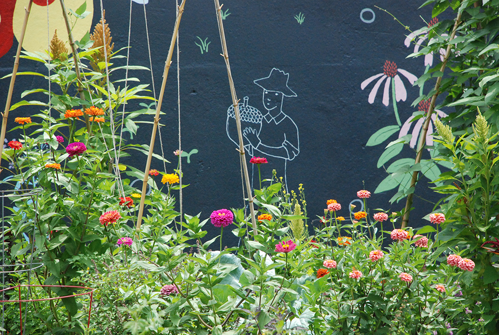 Flowers And Farmer