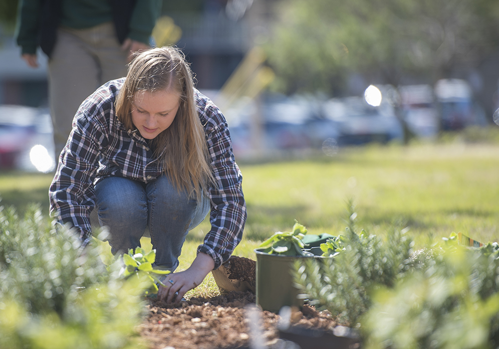 Pollinator garden puts the ‘bee’ in UAB