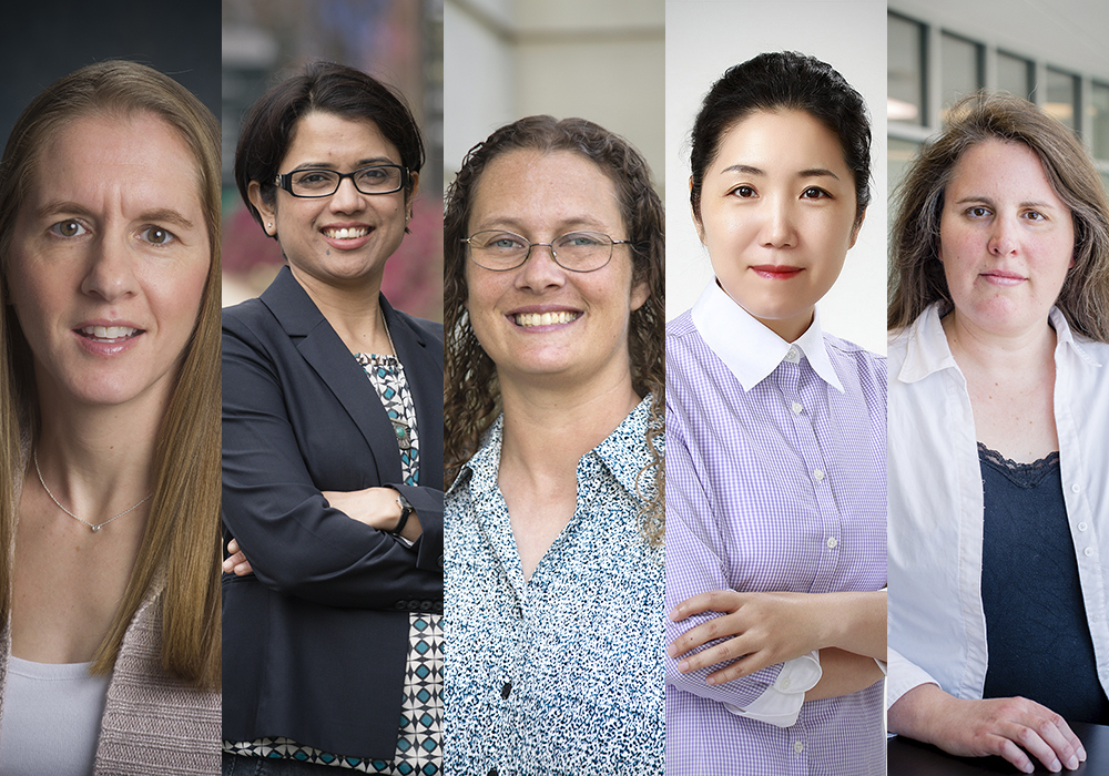 5 women faculty develop team-based research courses for undergrads