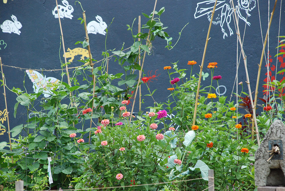 Zinnias And Beehive