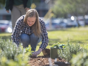 Pollinator garden puts the ‘bee’ in UAB