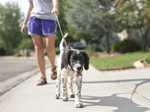 6 ways to stay healthy while keeping your distance