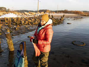 How seaweeds can help predict life on a warming planet