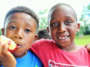 Community impact grant to combat food insecurity, starting in the clinic