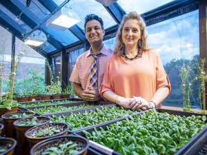 Plant AI project aims to bring food to tables and students into science