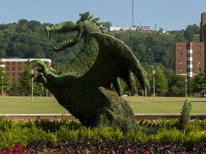 Blaze topiary to get new life and a winter home