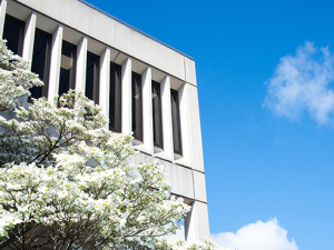 10 campus photos that show spring has sprung despite coronavirus