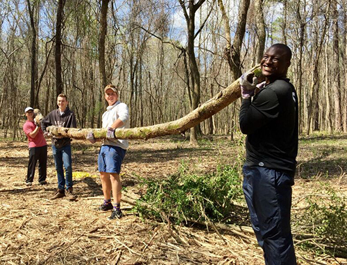 Carrying Log