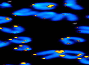 Cell Senescence Culture Facility