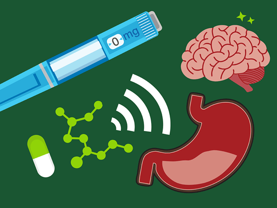 The GLP-1 revolution: What UAB researchers are discovering about how these drugs work