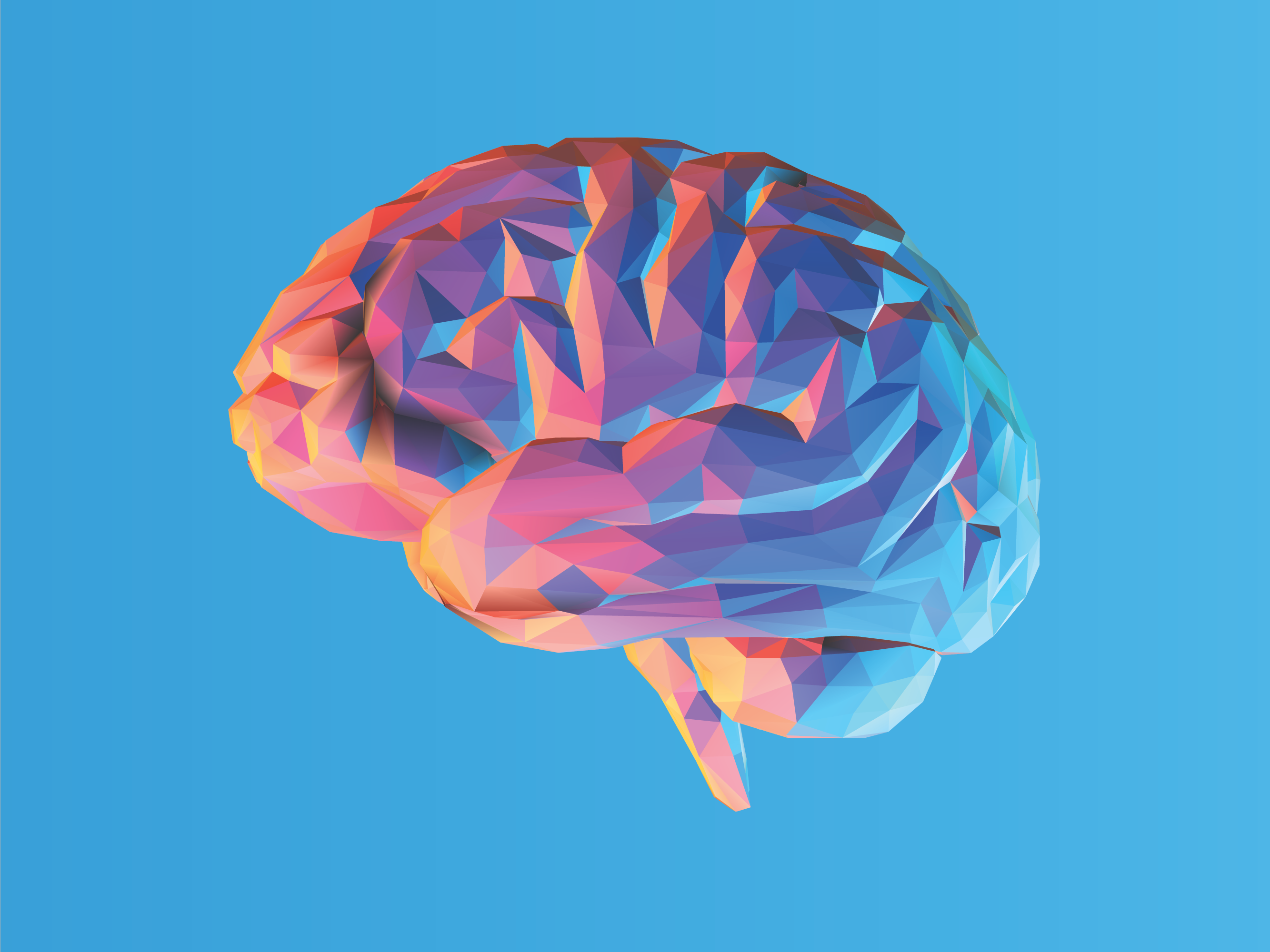 NRP Low Poly Brain