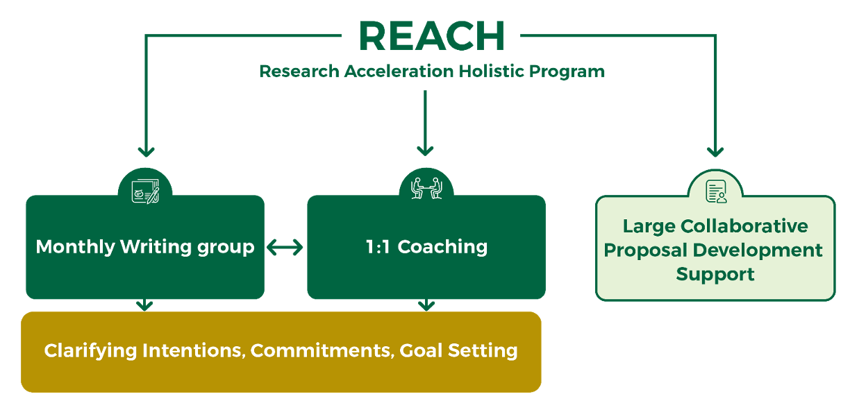 REACH graphic