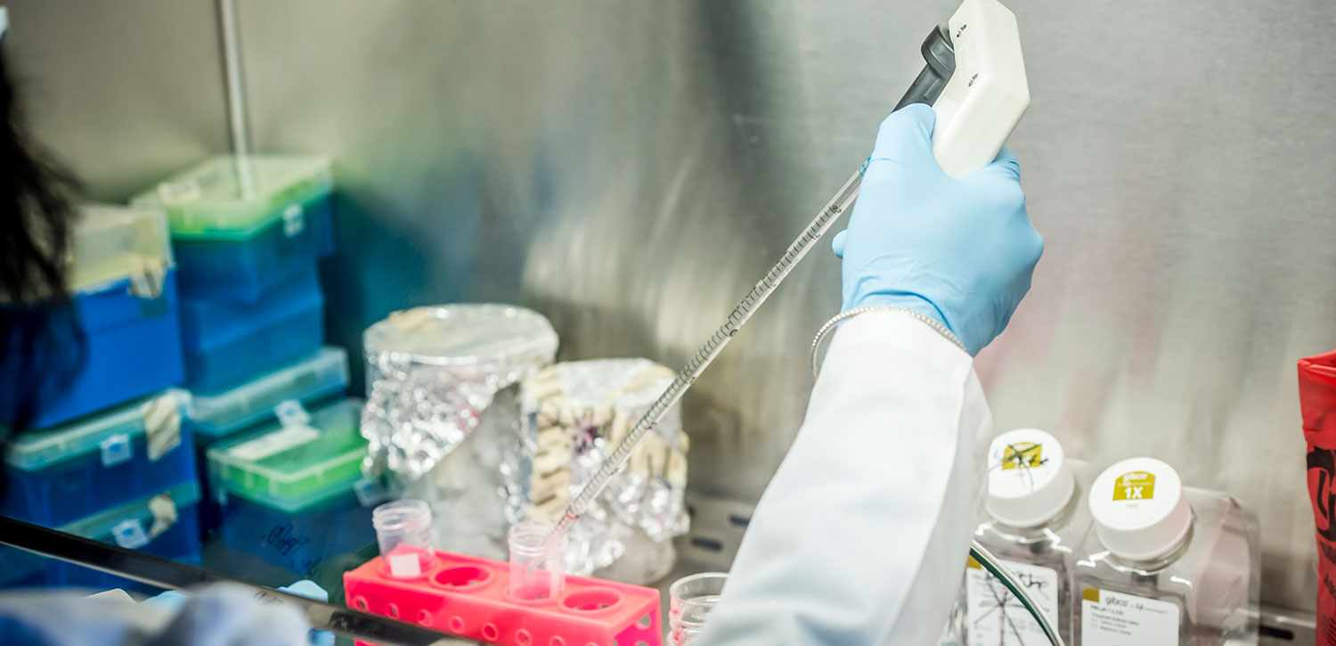 Detail shot of reasearcher using pipette in the lab.