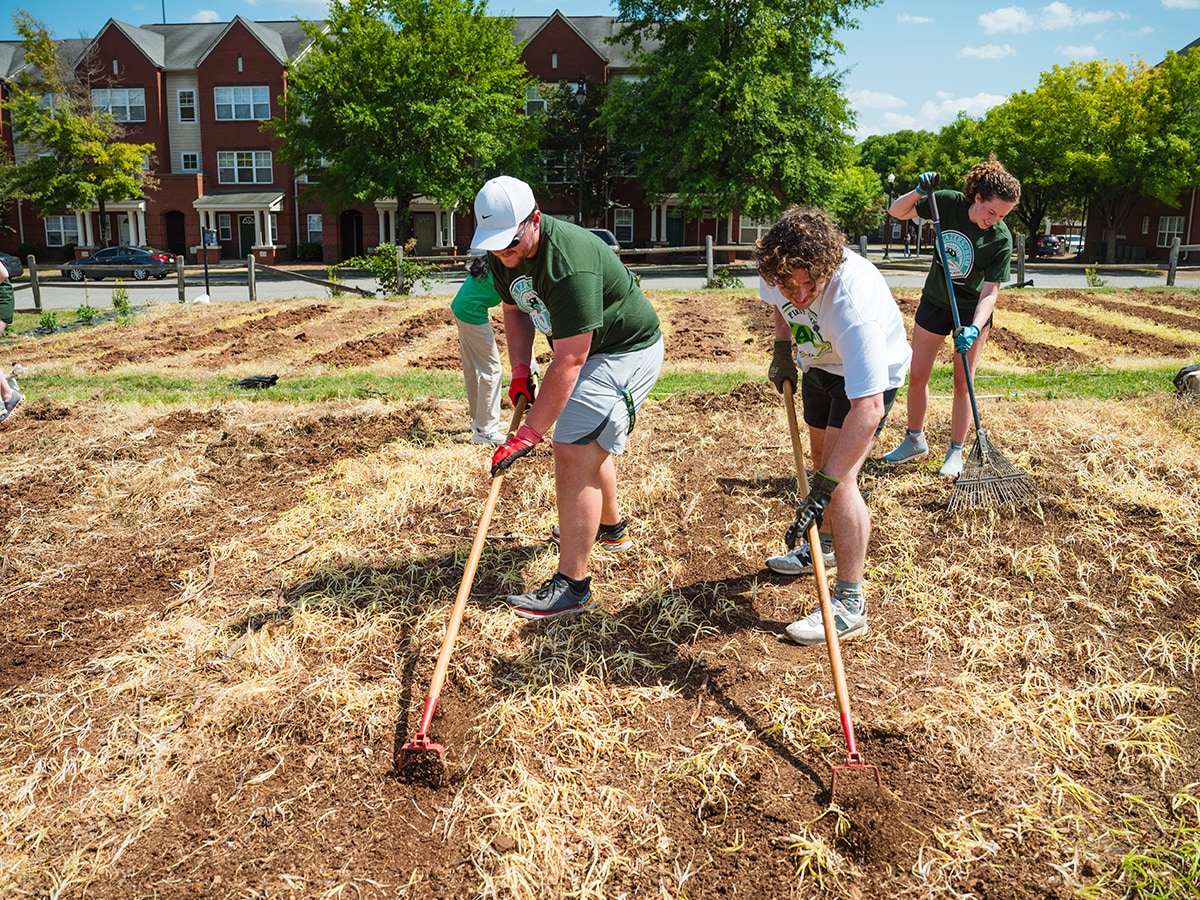 Volunteers using hoes to prepare the ground at a community garden