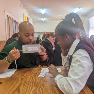 Lea contrast sensitivity function screen