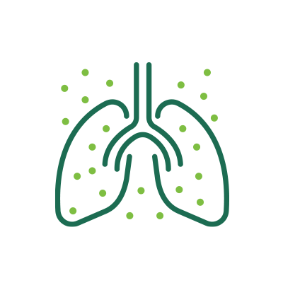 Air Pollution and Exposure Assessment