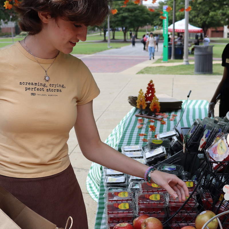 UAB student picking fruits