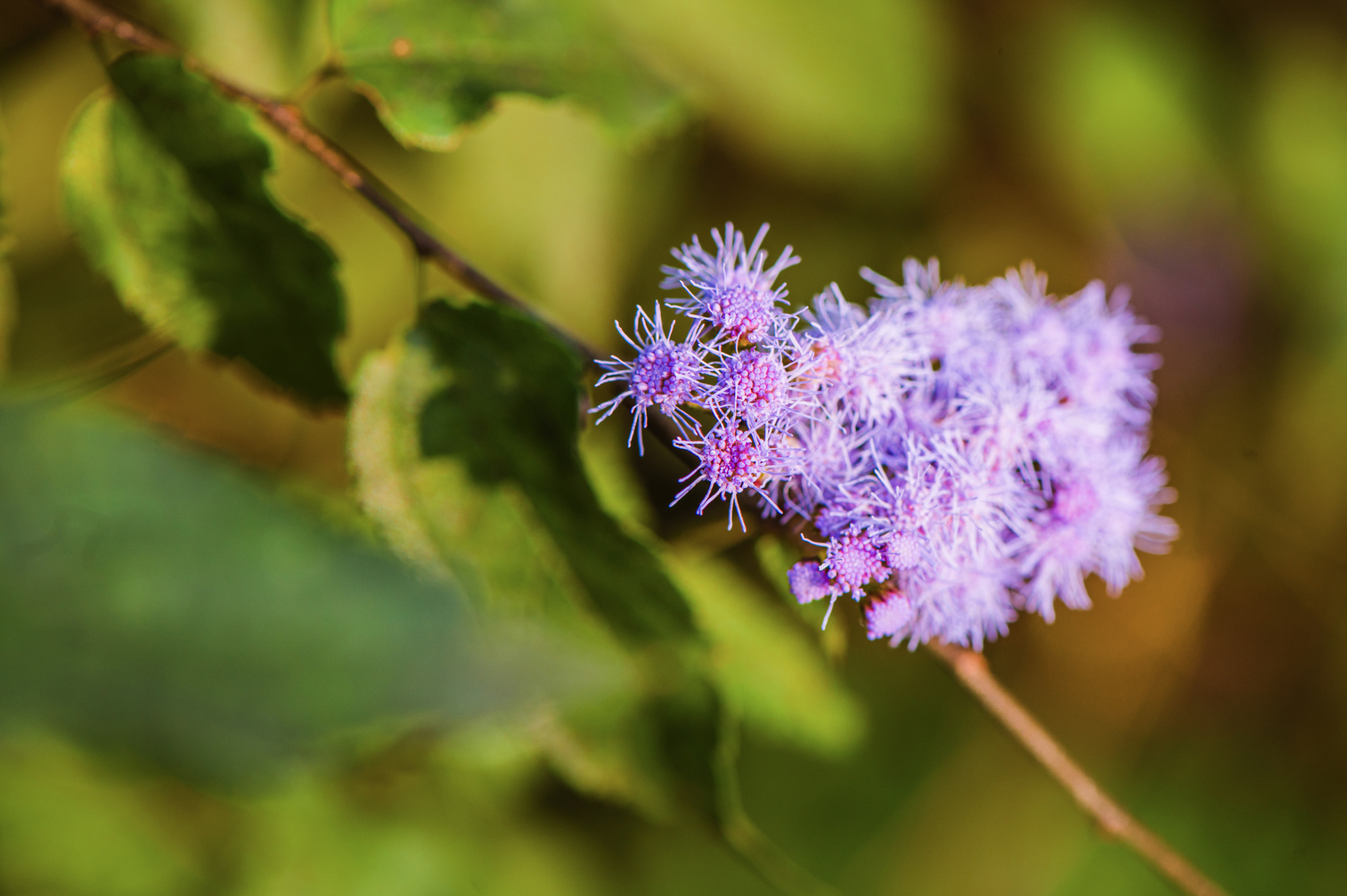 Feel Better, Breathe Easier