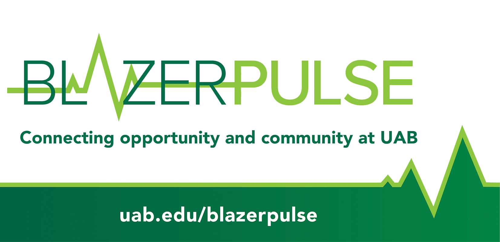 Blazer Pulse Logo