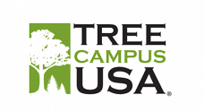 TreeCampusUSA