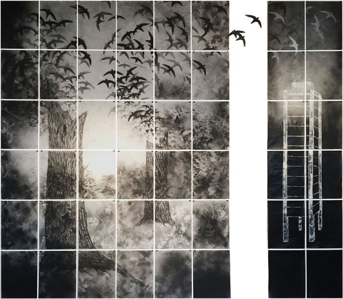 Drawing showing chimney swifts' natural and manmade habitats