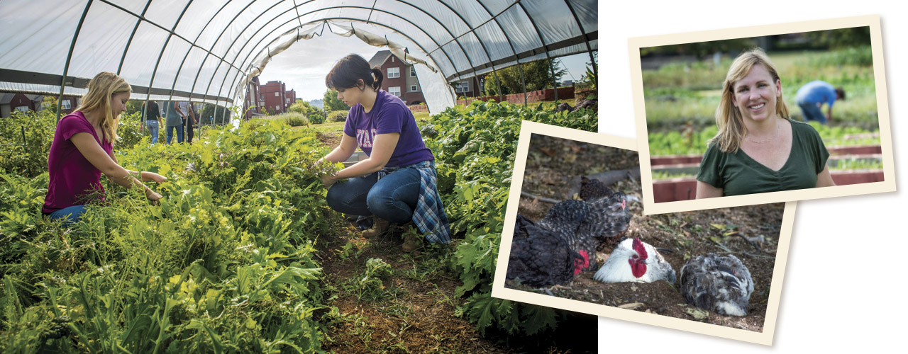 Photo of Amy Badham and photos of scenes from the farm