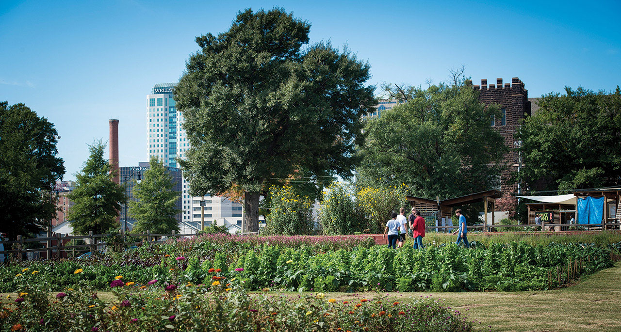 Photo of the Birmingham skyline from Jones Valley Teaching Farm