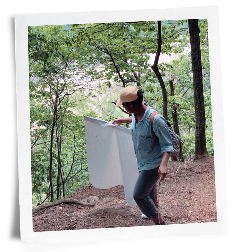 Photo of Spencer working on tick surveillance outdoors