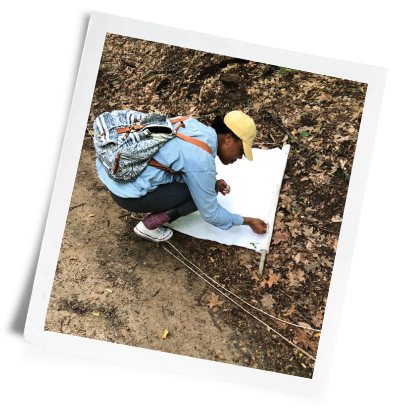 Photo of Spencer conducting tick surveillance in the woods