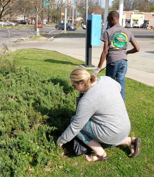 Photo of students cleaning medians in Glen Iris